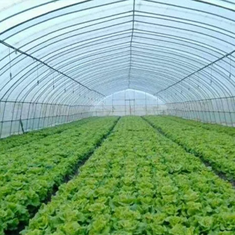 product-750-750 product-750-750